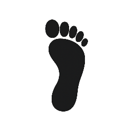 solesnmoves